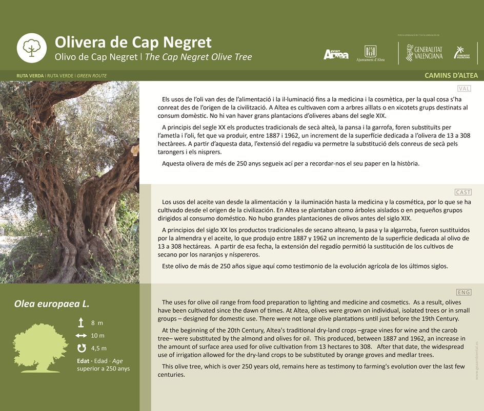 Panel explicativo Olivera de Cap Negret