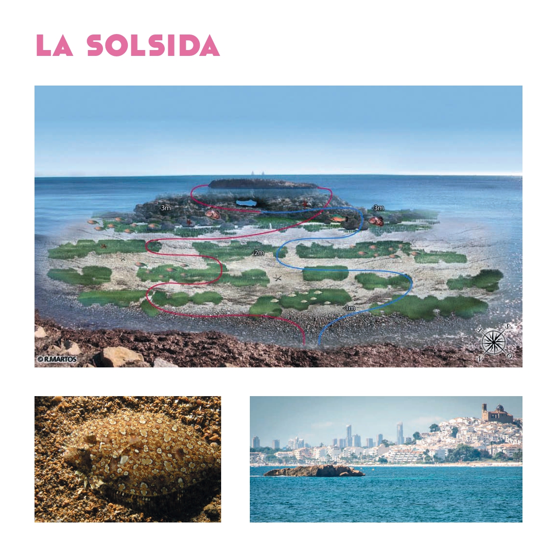 Rota en la playa de La Solsida